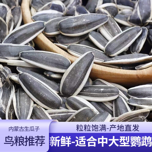 中大型鹦鹉瓜子葵花籽鸟粮鸟食饲