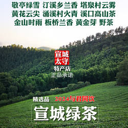 2024年宣城绿茶敬亭绿雪汀溪乡兰香塔泉村云雾溪口高山茶涌溪火青