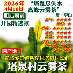 云雾2026年雨前春茶新茶叶绿茶溪口镇吕辉村塔泉云雾类高山茶包邮