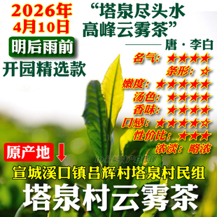 云雾2026年雨前春茶新茶叶绿茶溪口镇吕辉村塔泉云雾类高山茶包邮