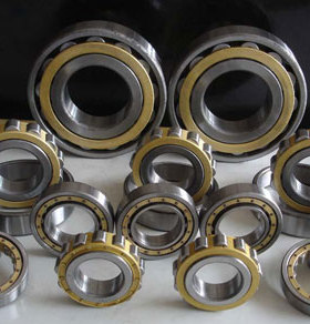 偏心轴承350752904 70752904 100752904  RN307 100752305