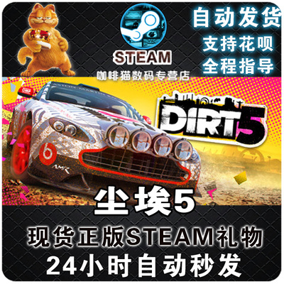 steam正版pcdirt5赛车游戏体育