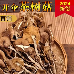 江西广昌特产农家自产开伞茶树菇500g干货非福建古田茶树菇