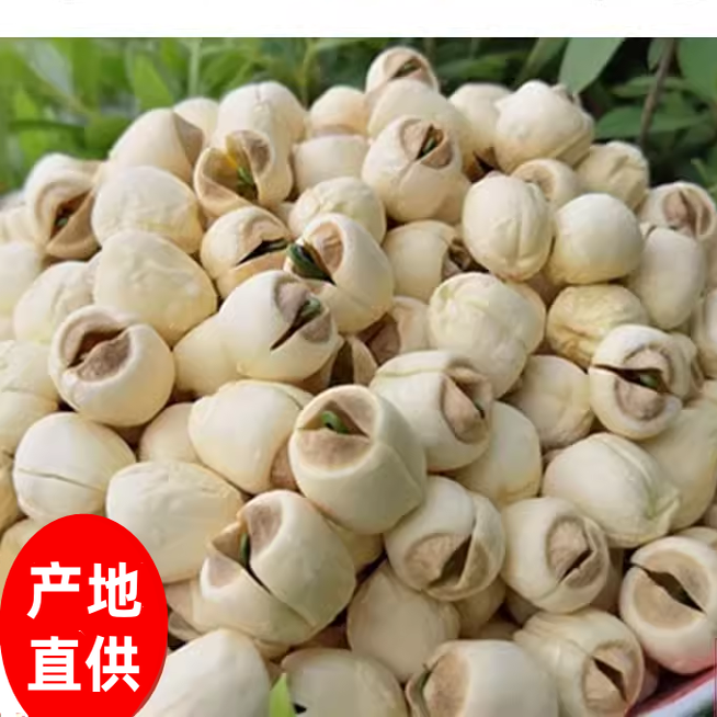 江西廣昌有芯蓮子手工500g