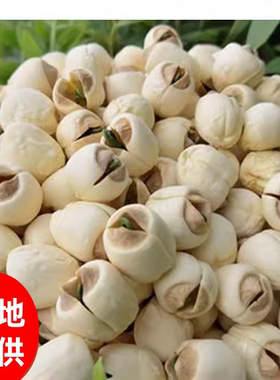 2025新鲜有芯莲子250/500g干货特产无硫农家自产手工广昌带心白莲