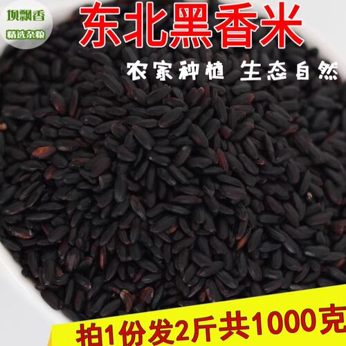 黑香米农家种植老式品种煮黑米粥