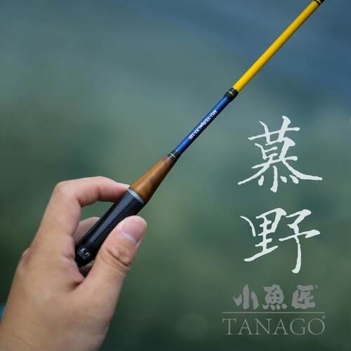 迷你小物竿鳑鲏杆溪流钓鱼手杆