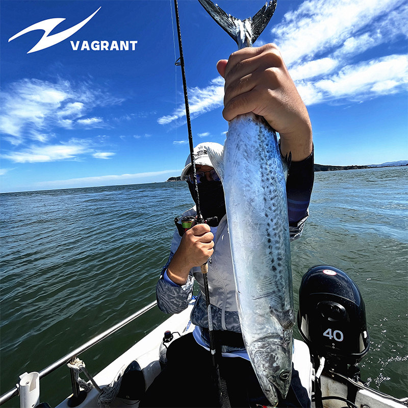 拓钓路亚竿慢摇铁板超轻实心竿稍梢泛用翘嘴岸船钓黑头海鲈鲅鱼杆