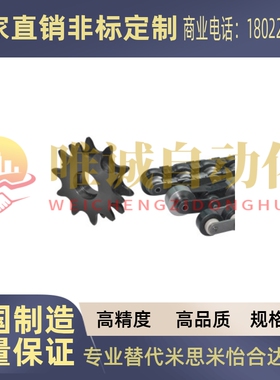 VMW01 02-BS10 25 30-C206B 208A 210A 212 216A 212AaAb倍速链条