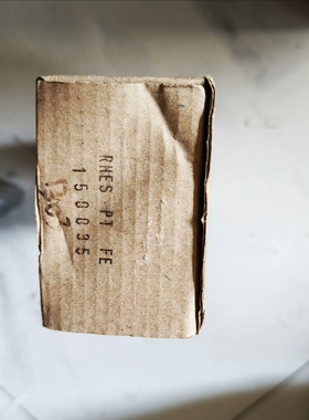 ProMinent普罗名特RHES PT FE电极 全新现货