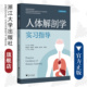 社 人体解剖学实习指导 浙江大学出版 配微课视频资源 陈伟燕 普通高等学校教材
