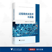 黄兴 王鹏飞著 浙江大学出版 过程微纳米技术与装 过程工艺 许忠斌 社 材料 备