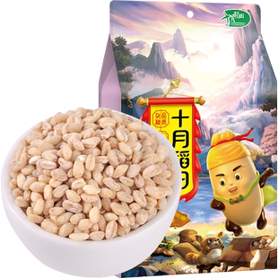 【次日达】十月稻田小麦仁 五谷杂粮粗粮 新鲜小麦仁米 真空包装