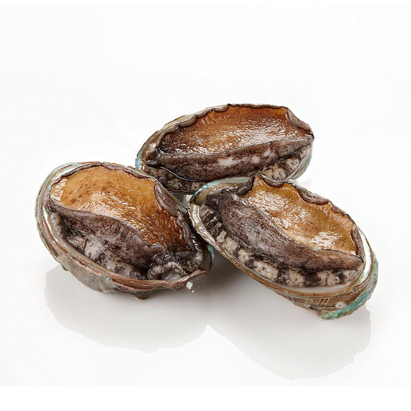 小鲍新鲜优质量大海鲜