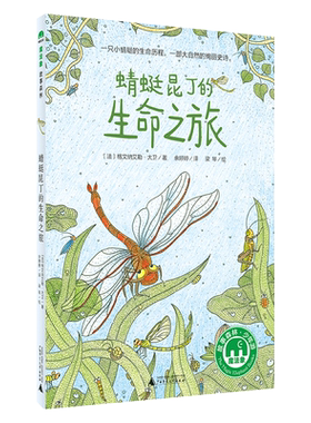 蜻蜓昆丁的生命之旅