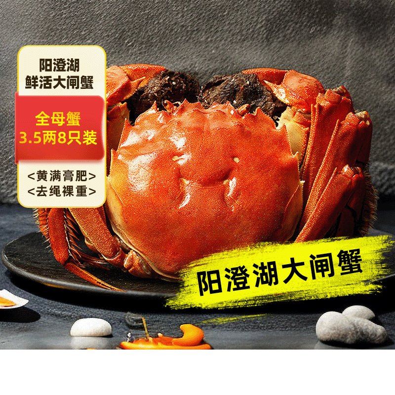 澄方圆阳澄湖全母3.5两8只大闸蟹
