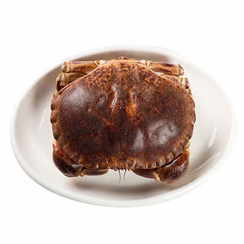 鲜活面包蟹海鲜400-500g/只