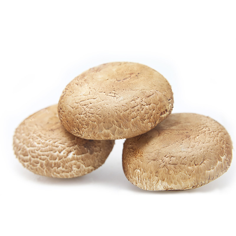 菌菇鲜 牛排菇150g