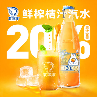 北冰洋果汁鲜榨桔汁236ml*12瓶鲜果压榨果汁汽水