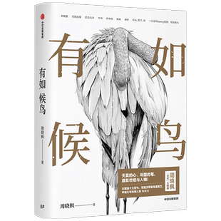 有如候鸟 周晓枫著 李敬泽 孟繁华 张莉 罗振宇等推荐