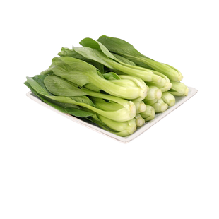 日日鲜上海青苗300g/份新鲜菜叶鲜嫩蔬菜