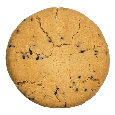 泸溪河原味中式糕点桃酥