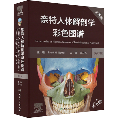 奈特人体解剖学彩色图谱 第8版第八版汉英对照彩色神经系统肌肉