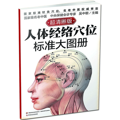 人体经络穴位图标准大图册
