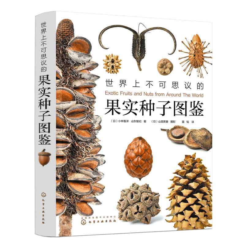 世界上不可思议的果实种子图鉴 300张高精细果实图片 正版书籍