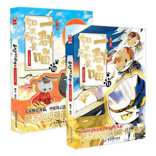 【套装2册】如果历史是一群喵11+10宋辽金夏+南宋金元 中国史书籍