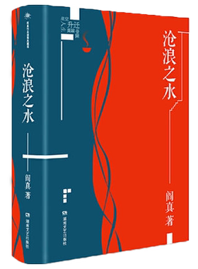 沧浪之水阎真作品插图版正版