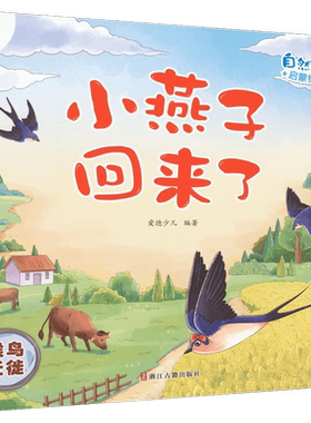小燕子回来了-候鸟迁徙-自然科学