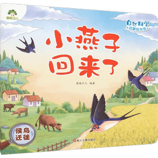 小燕子回来了-候鸟迁徙-自然科学启蒙绘本馆 3-6岁科普新华书店
