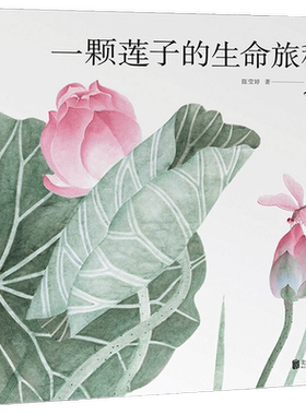 一颗莲子的生命旅程3-6岁绘本