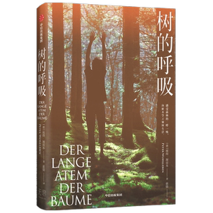 树的呼吸 彼得渥雷本著 感受森林的一呼一吸 向树木学习如何生活