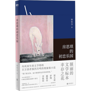 房思琪的初恋乐园 林奕含 亚洲女性主义文学杰作之一正版畅销书