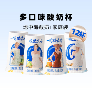 一鸣地中海果粒低温代餐纯DIY酸奶杯碗牛奶海盐焦糖