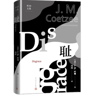 耻 库切文集 J.M.库切著 冯涛译 外国现当代文学小说新华书店书籍
