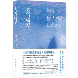 大雪将至罗伯特泽塔勒著 打动西方人灵魂的作品社会小说外国文学