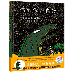 遇到你真好 精装硬壳 宫西达也恐龙系列3-6岁幼儿园早教启蒙绘本