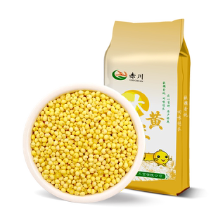 赤川大黄米黍米黄黏米五谷杂粮赤峰黄糯米黄粽子原料糯小米
