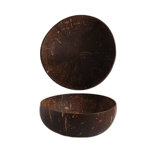 舍里天然椰子壳酸奶碗网红水果沙拉燕麦碗ins风小碗木碗带小勺子