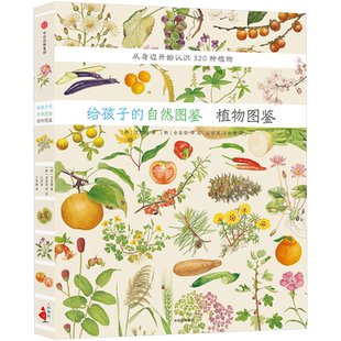 给孩子的自然图鉴动植物科普我家门外的自然课观察日记果实种子书