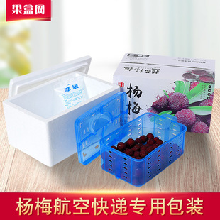 新 东魁荸荠种加厚泡沫箱航空塑料盒 斤装 杨梅快递专用包装