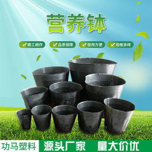 一次性育苗杯盆袋多肉花卉种植盆美植袋黑色塑料加厚款