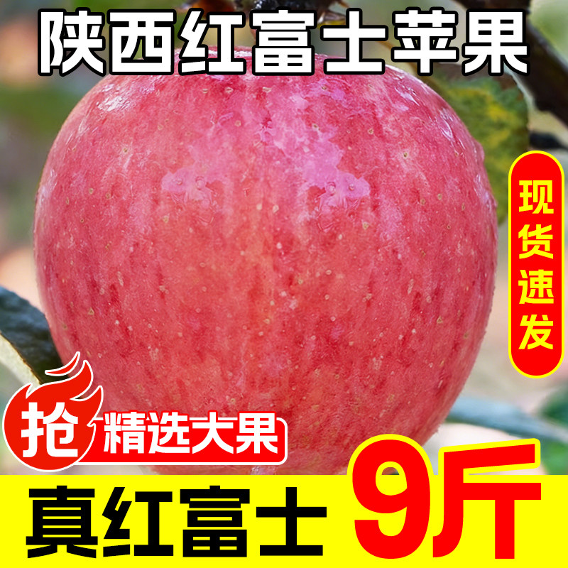 陕西红富士苹果水果新鲜整箱当季脆甜丑平果应季9斤小冰糖心包邮,水产肉类/新鲜蔬果/熟食,苹果,淘宝优惠券,粉丝福利购,淘宝优惠卷