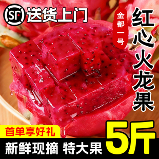 海南金都一号红心火龙果5斤整箱大果新鲜应当季红肉密宝水果包邮3