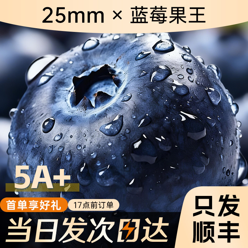 云南蓝莓新鲜水果当季蓝梅鲜果现摘高山怡颗孕妇大果整箱顺丰包邮,水产肉类/新鲜蔬果/熟食,蓝莓,淘宝优惠券,粉丝福利购,淘宝优惠卷