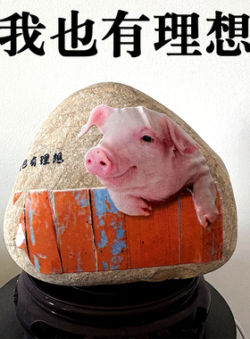 贴纸画画大湾石原石头可彩绘儿童DIY卡通创意成人艺校画室彩玉