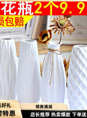 挂件门口新款上市花瓶白色插干花满天星绿萝水培摆件客厅插花北欧